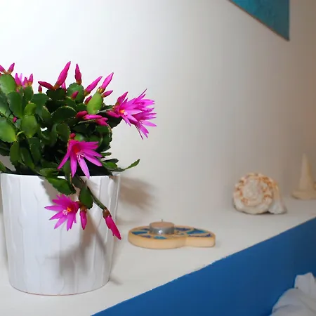 Casa Azul 4* Castellammare del Golfo